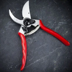 Felco 2 Classic Secateur