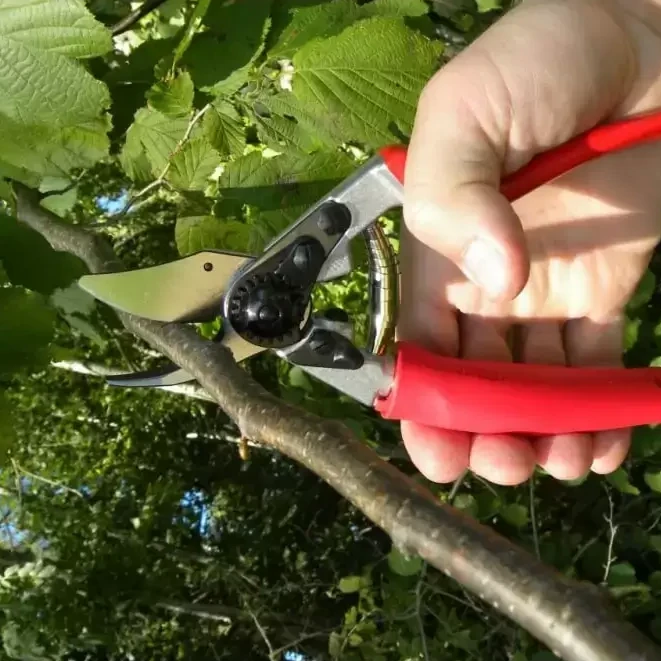 Felco 12 Compact Deluxe Secateur 4 Felco 12 Compact Deluxe Secateur - Image 2