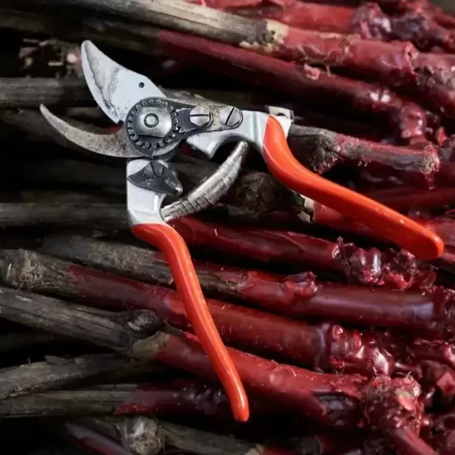 Felco 14 Small Ergonimic Secateur 3 Felco 14 Small Ergonimic Secateur - Image 2