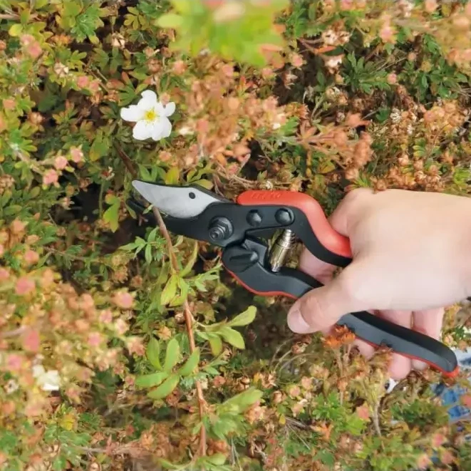 Felco 160S Small Secateur 4 Felco 160S Small Secateur - Image 2