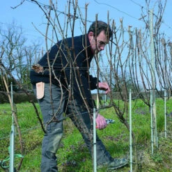 Felco 910 Holster -Swiss Supplies Store 162193690283818304 1