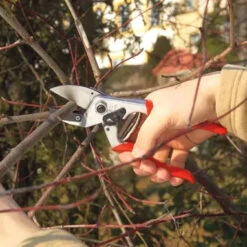 Felco 31 Anvil Secateurs -Swiss Supplies Store 2felco