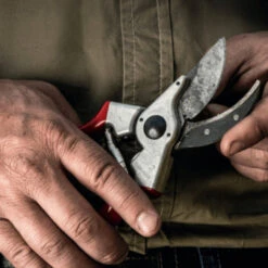 Felco 2 Secateur & Felco 601 Folding Pruning Saw Gift Set -Swiss Supplies Store felco 2 2 1